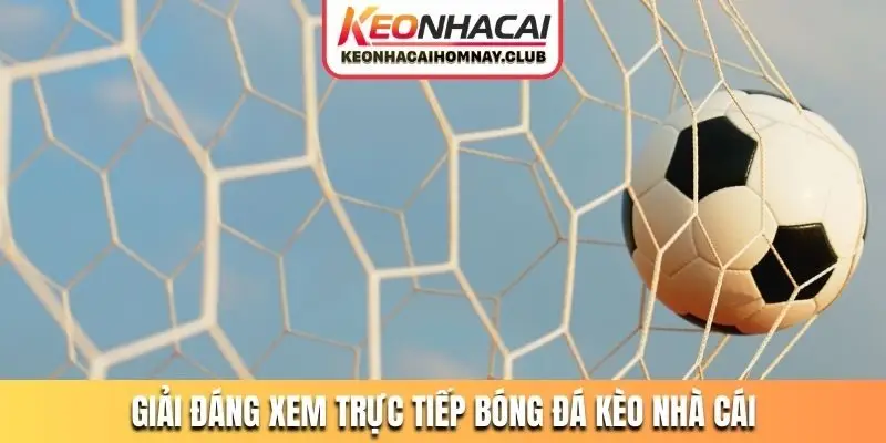 Những giải đáng để tâm khi xem trực tiếp bóng đá kèo nhà cái