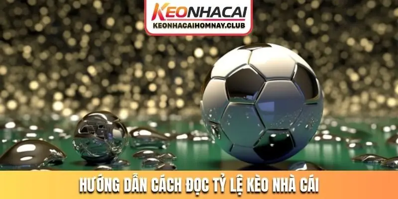 Hướng dẫn cách đọc tỷ lệ kèo nhà cái