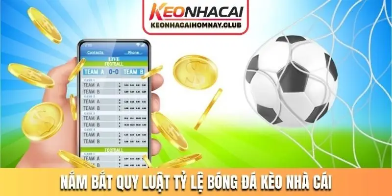 Nắm bắt quy luật tỷ lệ bóng đá kèo nhà cái