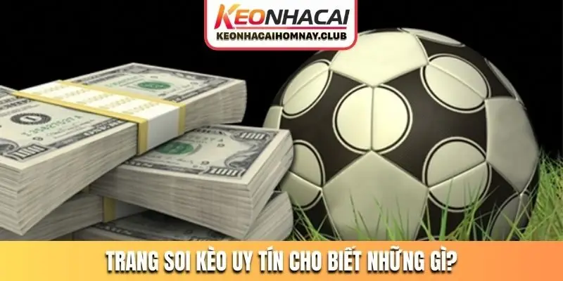 Trang soi kèo uy tín cho biết những gì?
