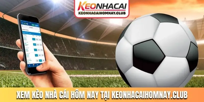 Xem kèo nhà cái hôm nay tại www.twelvecupcakes.com.tw