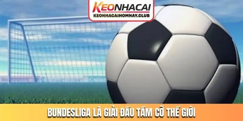 Bundesliga là giải đấu tầm cỡ thế giới
