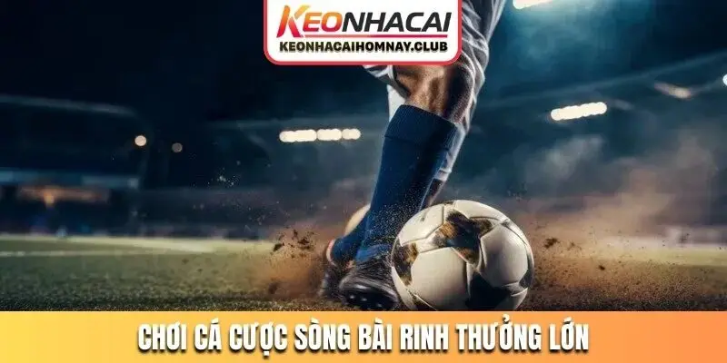Chơi cá cược sòng bài rinh thưởng lớn