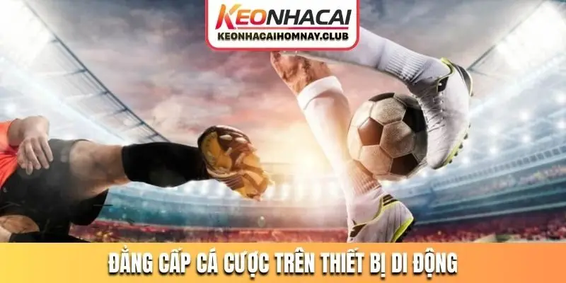 Đẳng cấp cá cược trên thiết bị di động