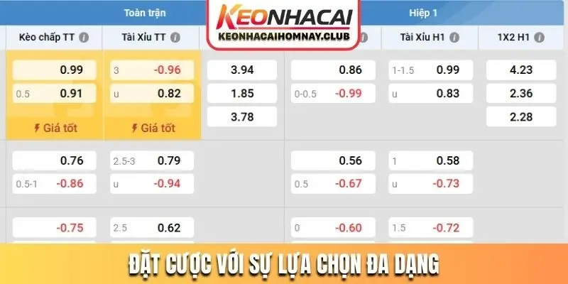 Đặt cược với sự lựa chọn đa dạng