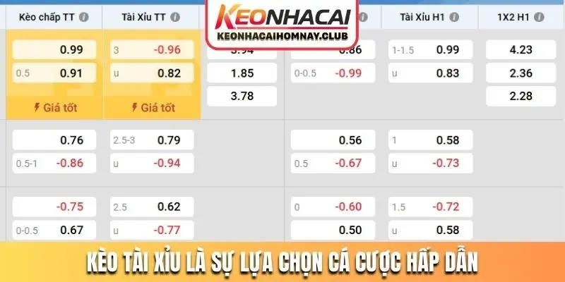 Kèo tài xỉu là sự lựa chọn cá cược hấp dẫn