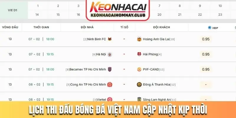 Lịch thi đấu bóng đá Việt Nam cập nhật kịp thời