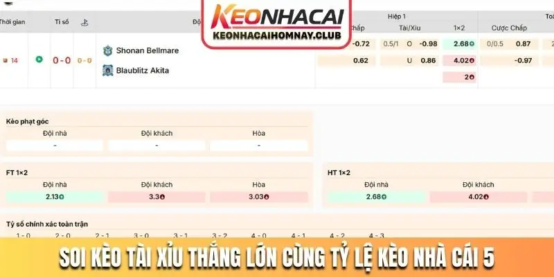 Soi kèo tài xỉu thắng lớn cùng tỷ lệ kèo nhà cái 5